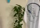  توزیع ضدعفونی کننده بین مردم شهرستان عسلویه آغاز شد


