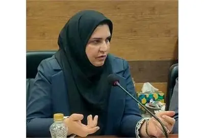 رضایی بختیاری: تصمیمات شورای‌عالی کار نباید منجر به تعطیلی کارگاه‌ها یا کاهش اشتغال شود