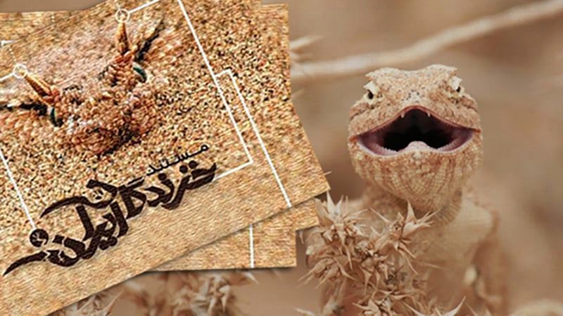 «خزندگان ایران» از شبکه الکوثر 

