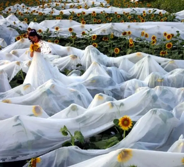 بلندترین لباس دنیا +عکس