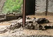 مسجدی که بر اثر سونامی به دریا افتاد+عکس