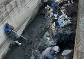 عبور مصالح برای ساخت و سازهای غیر مجاز در گیتهای ورودی رصد میشود