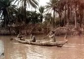 
غروب منافقین
