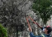 المان متحرک  خورشید در فلکه اول صادقیه نصب شد

