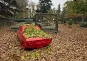 اجرای گذر پاییزی در بوستان های بزرگ منطقه یک با فرش برگ‌ها

