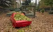 اجرای گذر پاییزی در بوستان های بزرگ منطقه یک با فرش برگ‌ها

