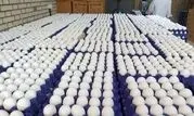 در حال خرید حمایتی تخم مرغ هستیم