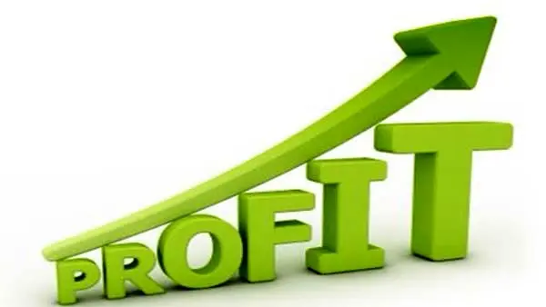 چند درصد در فارکس سود میکنند؟ بررسی عوامل موثر بر سوددهی