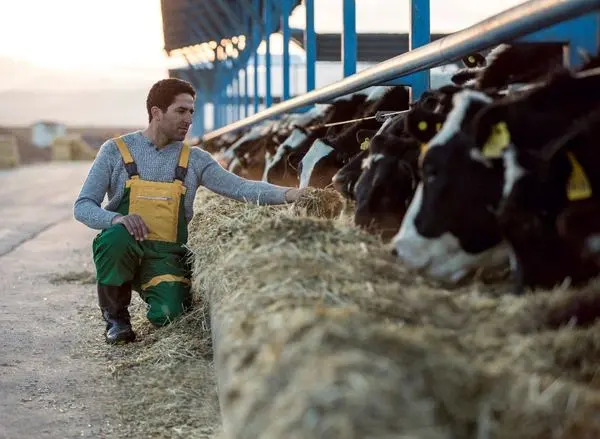 نستله؛ سفری در مسیر سلامتی و تغذیه