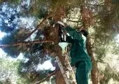 احیا و بازسازی قنات سنگلج و مهرگرد در قلب طهران

