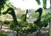 فضای سبز 9 محور در کوچه محل سکونت خانواده شهدا جان تازه گرفت