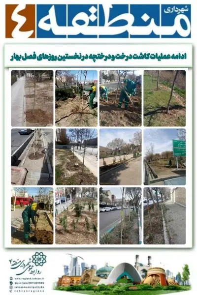 ادامه عملیات کاشت درخت و درختچه در نخستین روزهای فصل بهار