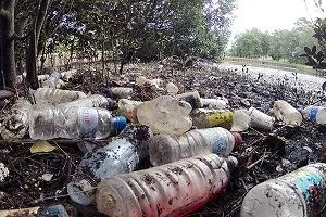 بلایی که پلاستیک در طبیعت بر سر جانوران می آورد+عکس