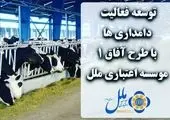 شتاب پرداخت تسهیلات خرد برای نجات فضای کسب‌وکار در6 ماهه دوم1400