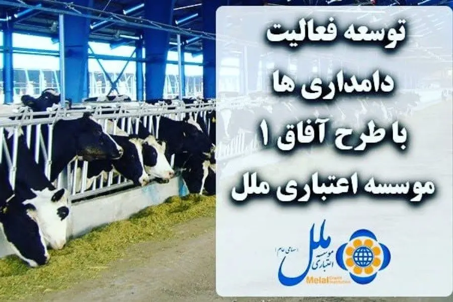 توسعه فعالیت دامداریها با طرح و آفاق 1 موسسه اعتباری ملل
