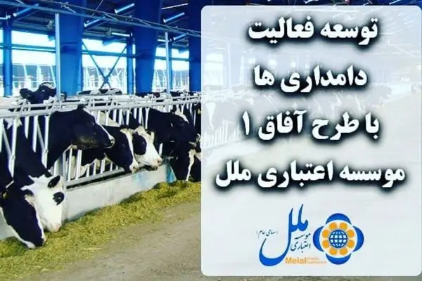 توسعه فعالیت دامداریها با طرح و آفاق 1 موسسه اعتباری ملل