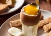 کروکودیلی که آسمان را به تسخیر در می آورد+عکس 