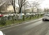 جلسه هم اندیشی کنترل بیماری مرگ هلندی درختان نارون در منطقه ۲۱

