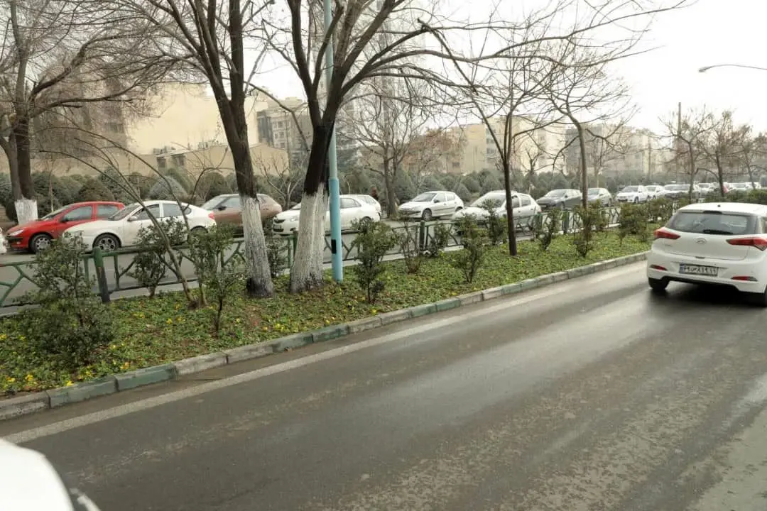 بزرگراه شهید حکیم با گل های فصلی مزین می شود

