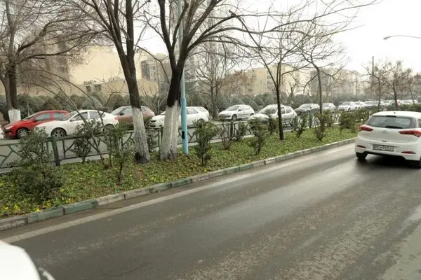 بزرگراه شهید حکیم با گل های فصلی مزین می شود