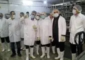 برگزاری مراسم نکوداشت روز کار و کارگر در شهرستان نجف آباد

