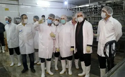 بازدید شبانه فرماندار قم از کشتارگاه مرغ