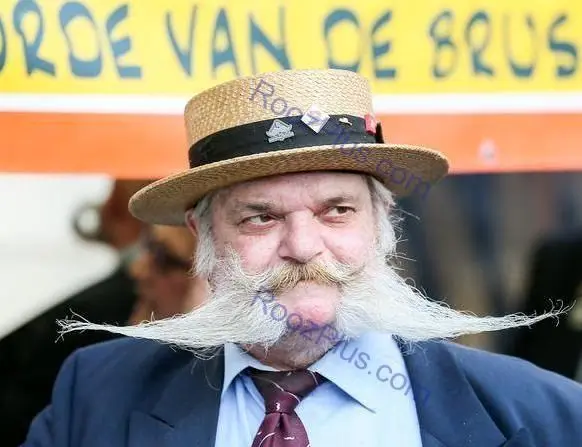 رقابت جالب سیبیلوها در برزیل +تصاویر