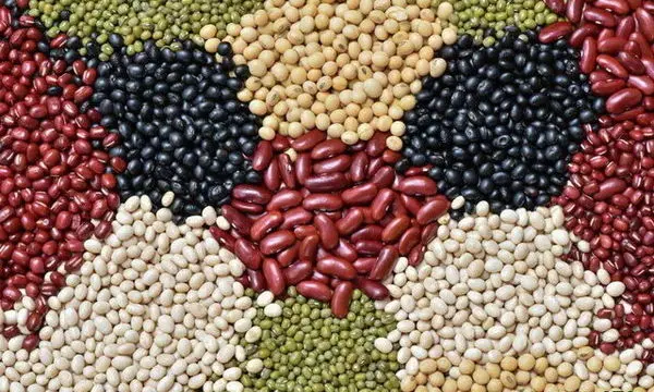 جزئیات جدید از قیمت حبوبات در بازار