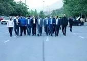 هفته تهران با جشن فرهنگ، هویت و شادی در شمال پایتخت به پایان رسید

