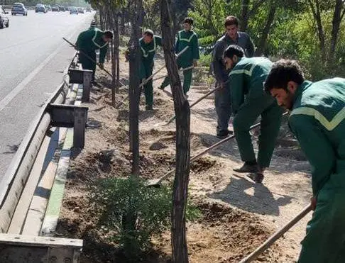 ۴۰۰ هزار مترمربع از بوستانهای شمال تهران در طرح خدمت باز پیرایی شد