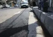 تندیس سیمرغ بر پیکره بی جان درخت خشکیده چنار 

