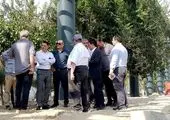 باغ‌راه حضرت زهرا(س) با فراهم شدن مقدمات، اوایل دیماه افتتاح خواهد شد

