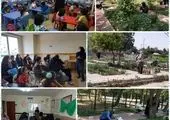 کاشت سبزیجات و محصولات ارگانیک در 4 مزرعه خانواده منطقه 15

