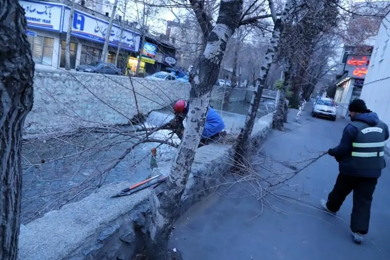 اجرای پنجشنبه های پاک در معابر منطقه 3

