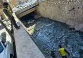 بهره برداری از معبر ترگل در منطقه ۲۲