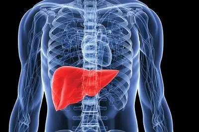 مفیدترین و مضرترین غذا‌ها برای کبد
