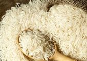 نیازی به واردات برنج نداریم


