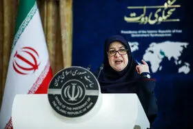 وزیر خارجه روند مذاکرات را اجرا و دنبال می‌کند