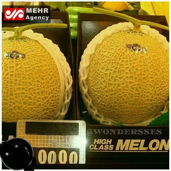 گران ترین میوه جهان با قیمت ۲۳۵۰۰ دلار +عکس