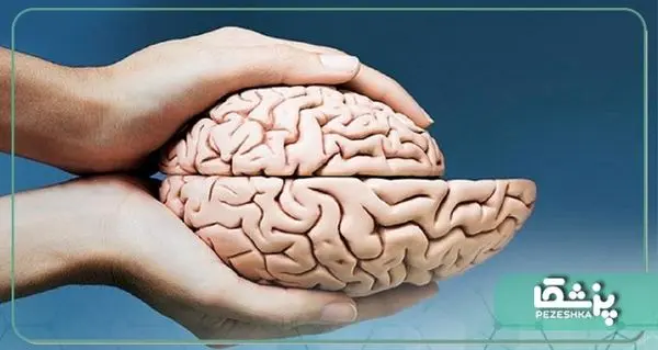 آیا افسردگی مغز را کوچک می کند؟【آپدیت2023】