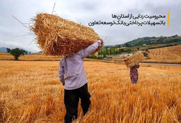 محرومیت زدایی از استان ها با تسهیلات پرداختی بانک توسعه تعاون