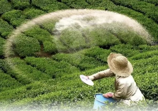 رانت و فساد نهفته در واردات کود با ارز ارزان