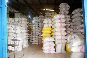 ثبت سفارش واردات برنج آغاز شد