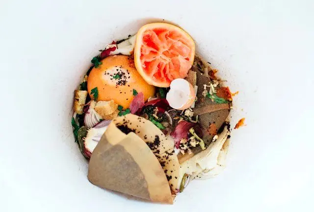 چند توصیه برای "خانه تکانی سبز
"
