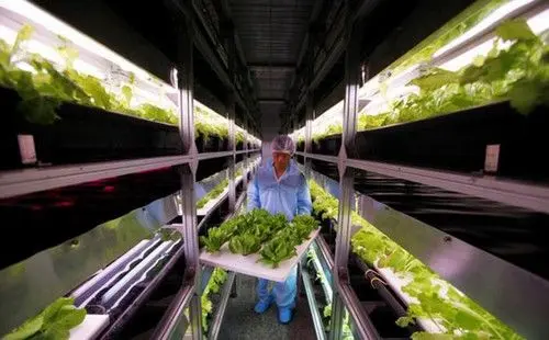 خانههای خارق العاده خورشیدی + عکس