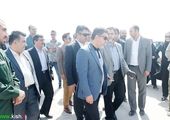
راه‌حلی عالی و بامزه برای گم نشدن چمدان‌ در سفر + عکس

