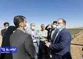 سهم این مجموعه در رشد اقتصاد و صنعت کشور نیز بسیار قابل‌توجه است