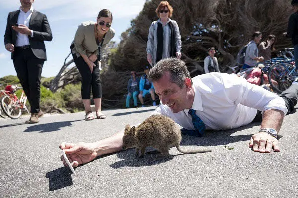 سلفی عجیب آقای وزیر با یک حیوان!+تصاویر