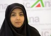 پیام مدیرعامل بانک توسعه تعاون به مناسبت روز ملی کارآفرینی