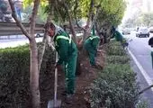 آماده باش نیروهای برف روب شمال تهران قبل از شروع بارش ها 

